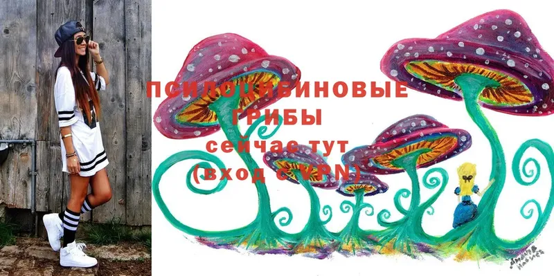 Псилоцибиновые грибы Magic Shrooms  Новая Ладога 